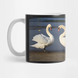 Loving Swans Mug